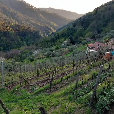 Apartmán Versilia Casina Del Cuore Torcigliano *