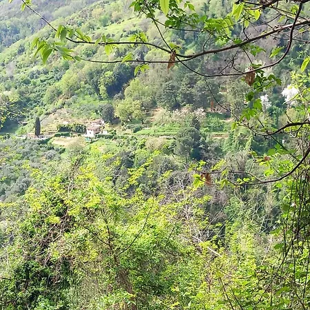 Apartmán Versilia Casina Del Cuore Torcigliano Montemagno (Lucca)