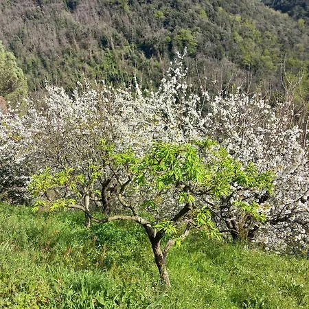 Apartmán Versilia Casina Del Cuore Torcigliano