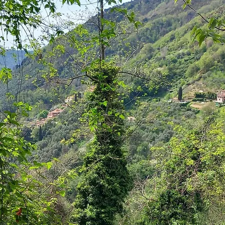 Apartmán Versilia Casina Del Cuore Torcigliano Montemagno (Lucca)