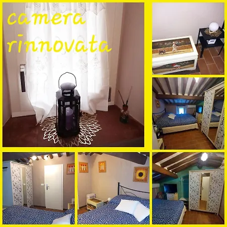 Versilia Casina Del Cuore Torcigliano Apartment *