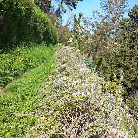 Διαμέρισμα Versilia Casina Del Cuore Torcigliano