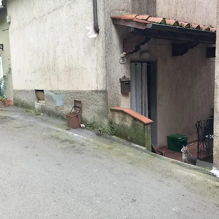 Apartment Versilia Casina Del Cuore Torcigliano Montemagno (Lucca)