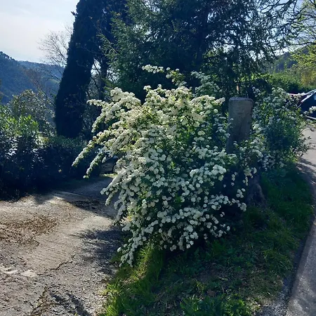 Versilia Casina Del Cuore Torcigliano Montemagno (Lucca)