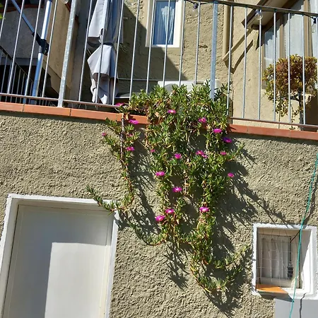 Διαμέρισμα Versilia Casina Del Cuore Torcigliano *