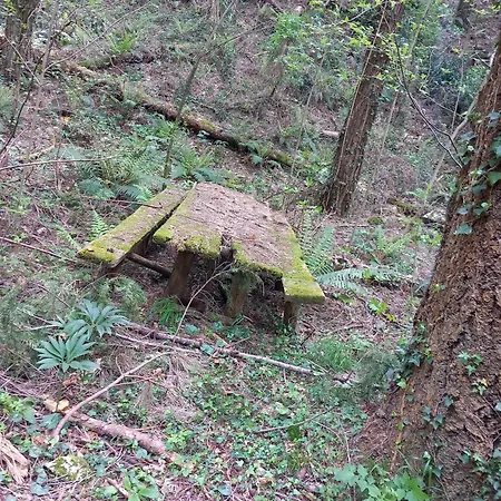 Versilia Casina Del Cuore Torcigliano Montemagno (Lucca)