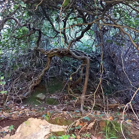 Versilia Casina Del Cuore Torcigliano