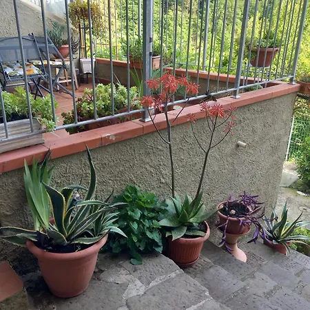 Versilia Casina Del Cuore Torcigliano Apartment *